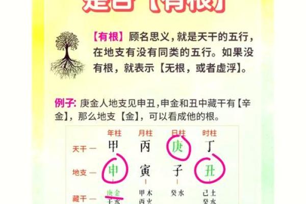 命理太极背后的秘密：你真的了解自己的命运密码吗？