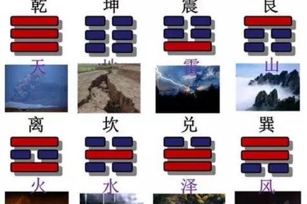 性格重塑之路：震卦五行格局，颠覆传统性格观