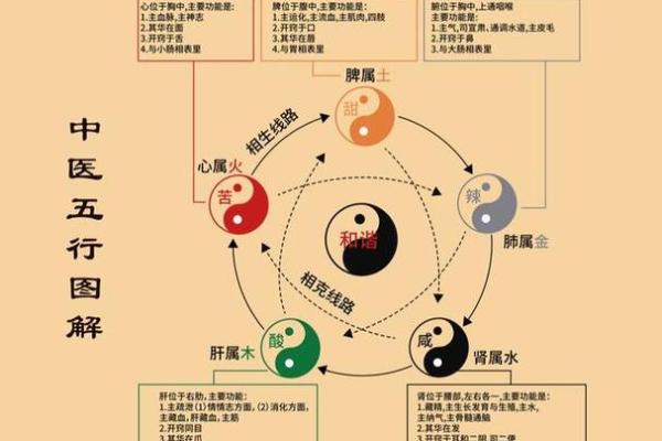 性格重塑之路：震卦五行格局，颠覆传统性格观