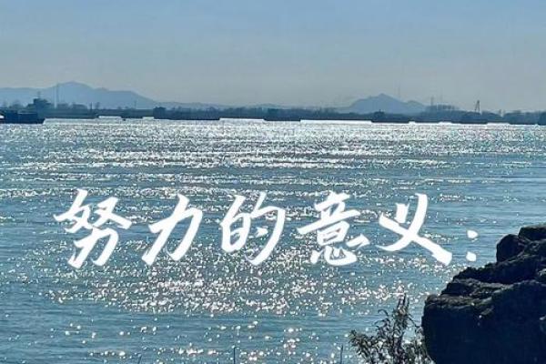 张泽华铁刀门命理：揭开命运密码，掌握人生主动权