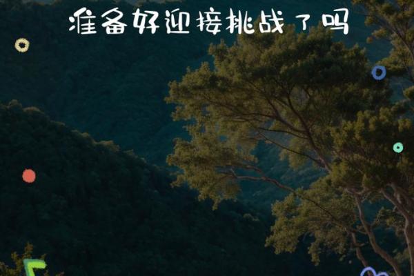 张泽华铁刀门命理：揭开命运密码，掌握人生主动权