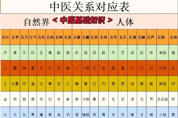 医药江湖五行术：性格解析大揭秘，如何布局你的五行格局？