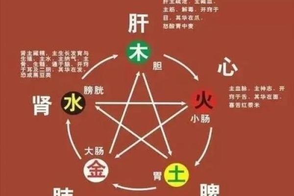 五行格局揭秘：你的性格密码，如何找到最适合你的五行？