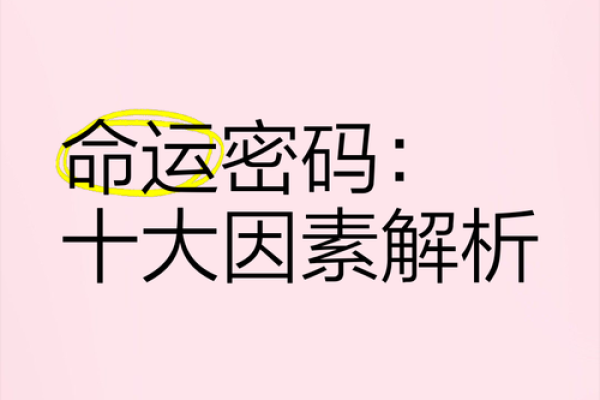 如何破解命运密码：揭开制神命理的神秘面纱