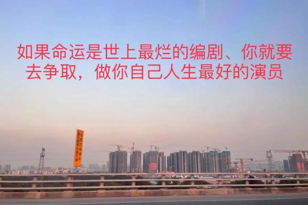 透过全息三维命理看人生，命运密码能否反转你的未来