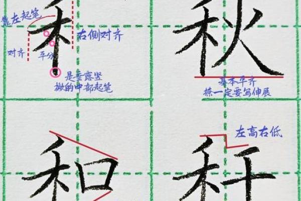 禾字五行格局揭秘：性格解析，如何改变命运？