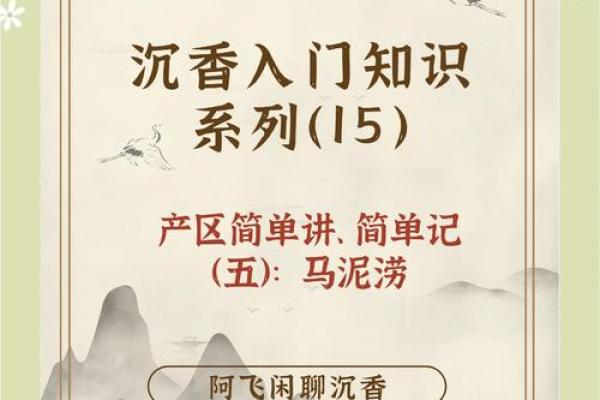 薄荷香里藏五行，揭秘你的性格密码与如何反而更强大