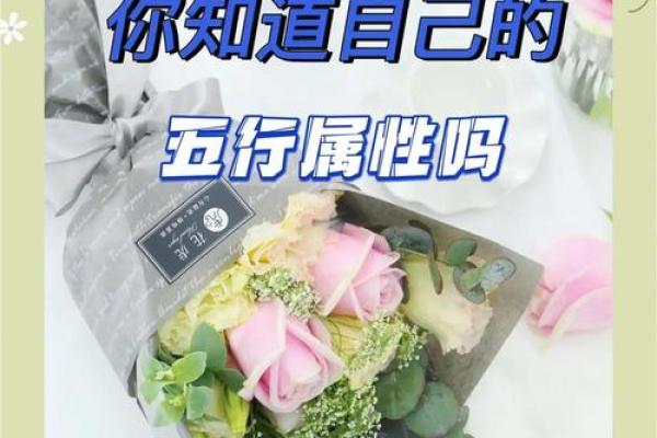 如何改变五行格局？揭秘你的性格进化之路