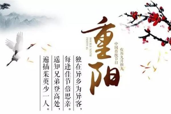 重阳：登高祈福，传承敬老养生文化