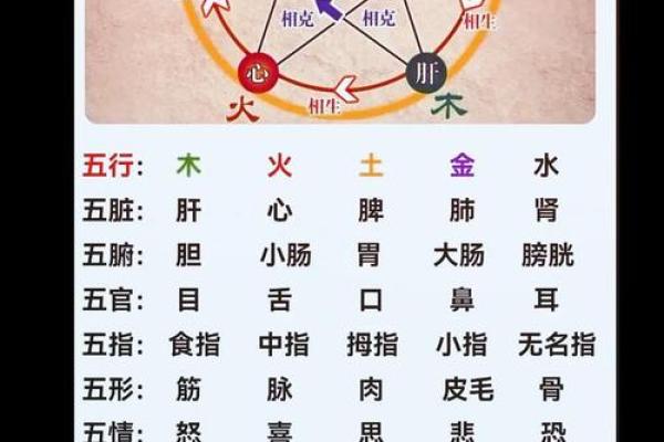 五行五方性格揭秘：破解你的五行格局，误区还是颠覆？