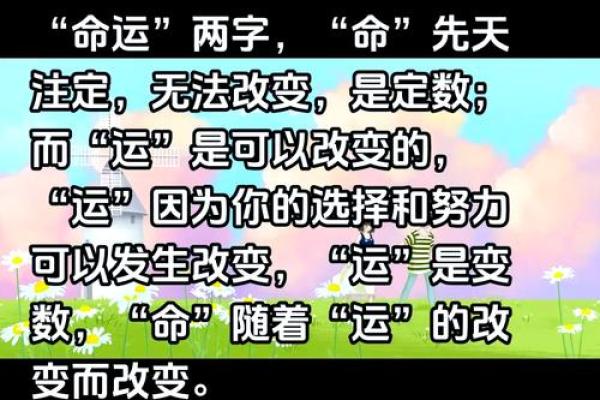 如何改变命运？五行格局重塑人生之路