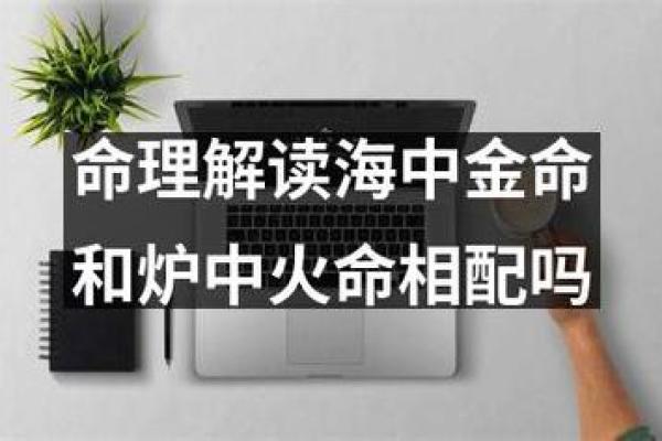海中金命理的命运密码，揭示如何让人生走向巅峰