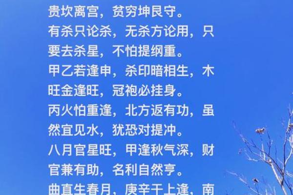 姓名五行格局深度解析：性格解析中的隐藏秘密