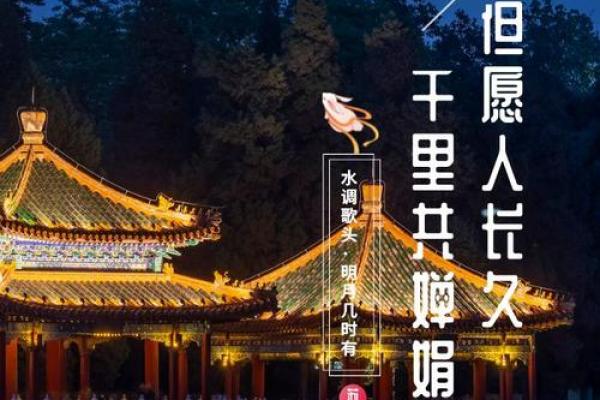中秋：赏月品月，感悟团圆与思乡