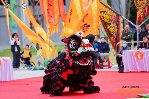 春节：舞龙舞狮，传承民俗精粹