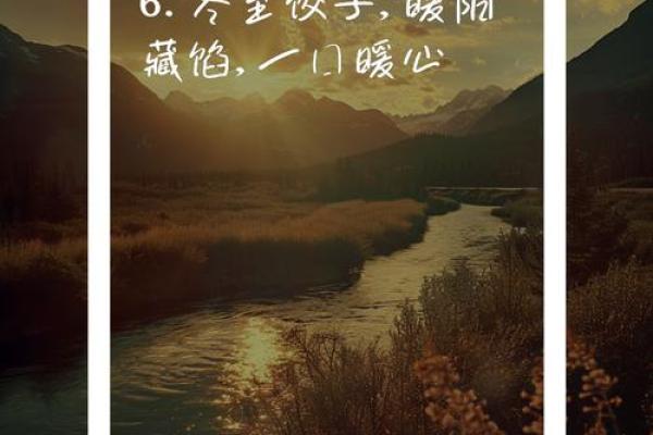 冬至：食饺暖心，感悟冬季养生