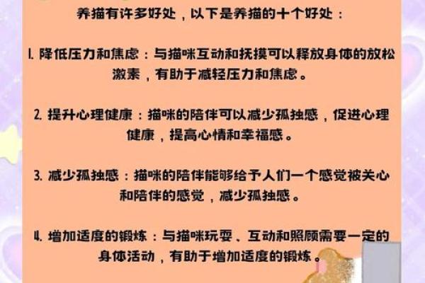 命运密码揭秘：养猫竟然能改变你的运势？