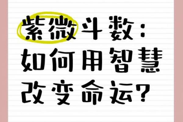 如何在命运中逆袭？杜志明的命理智慧揭示误区