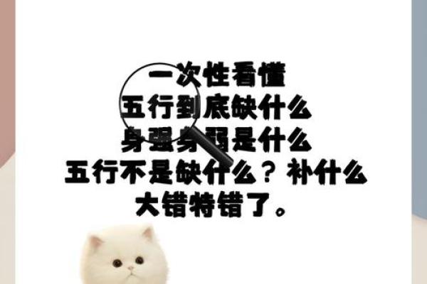 五行格局解码：汉子性格密码大揭秘，颠覆传统认知