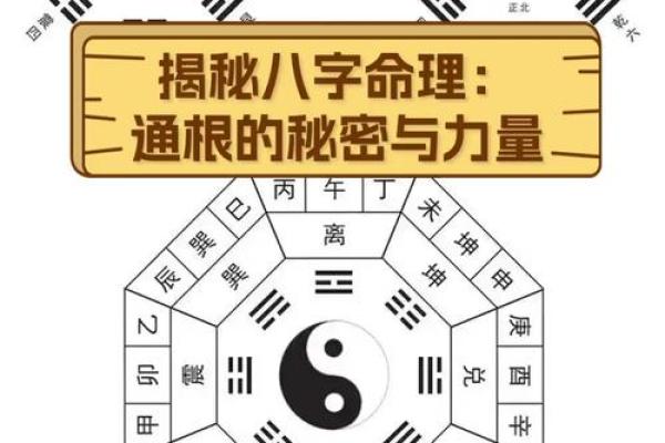 八字命理中的暗藏玄机，揭开命运的神秘面纱