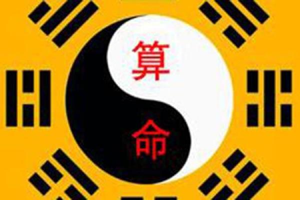 命运密码揭秘：林志玲的八字如何颠覆你对命理的理解