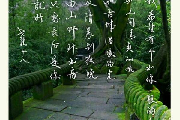 神秘五行格局解码：瑶的性格如何影响你的人生