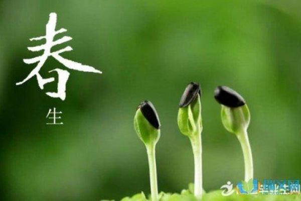 如何改变你的五行格局？想字的秘密让你焕然一新