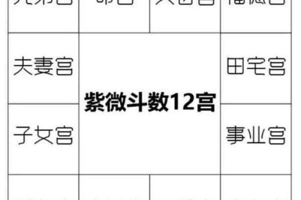 颠覆传统紫微斗数五行格局，教你如何逆袭人生