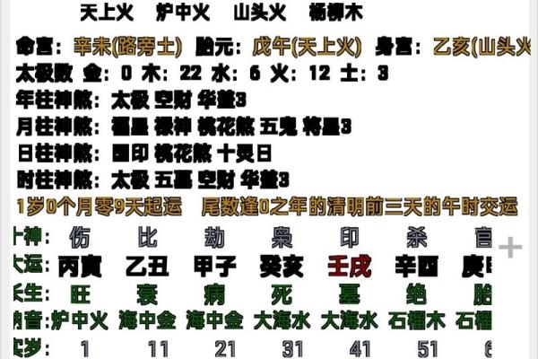 婷的五行之谜：性格解析，如何通过五行格局提升运势？