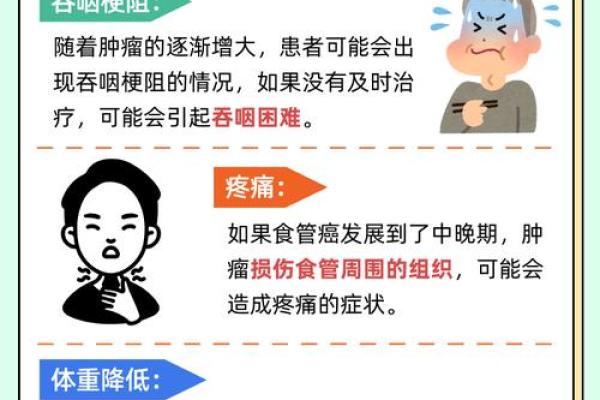 食道癌命理背后的命运密码，揭开你未曾察觉的身体信号