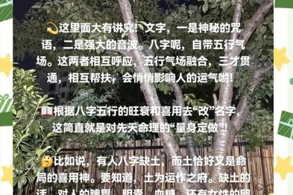 五行格局与命运：如何通过性格解析改变人生轨迹？