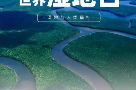 水族的水族节日：庆祝生命与自然的和谐